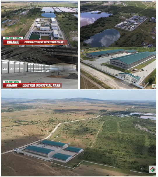 Stepping Up: Kenya's Leather Sector Leverages Value Addition for Growth