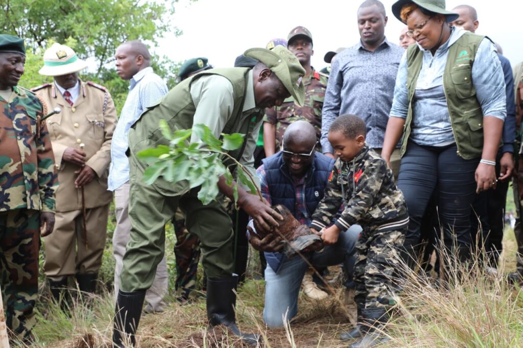 National Tree Growing Restoration Campaign